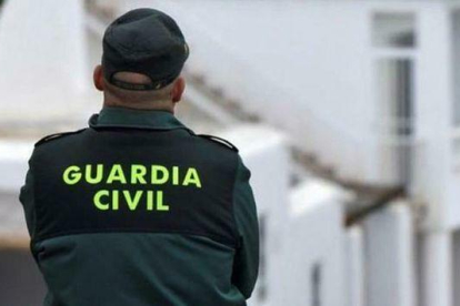 La Guardia Civil han denunciado a dos hombres infringiendo las medidas del estado de alarma para robar 30 kilos de naranjas y limones