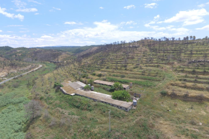 Imagen aérea donde se puede ver una zona con una granja afectada por el incendio de la Ribera d'Ebre en la C-233 entre Bovera y Flix.