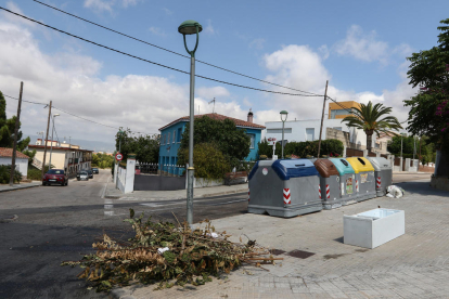 Aspecte d'uns contenidors a l'avinguda Països Catalans de Sant Pere i Sant Pau.
