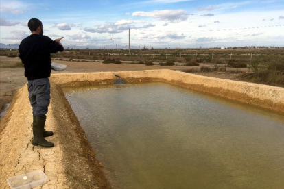 Un dels investigadors de l'IRTA fent proves en una de les basses de terra que s'han preparat per al projecte Fitogel.