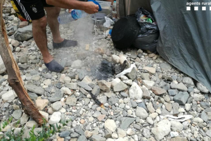 Les persones que estaven acampades van fer foc, fet que està prohibit.