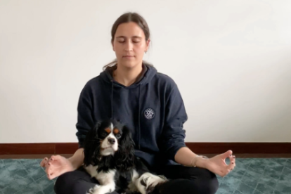Imatge d'una noia fent ioga amb el gos.