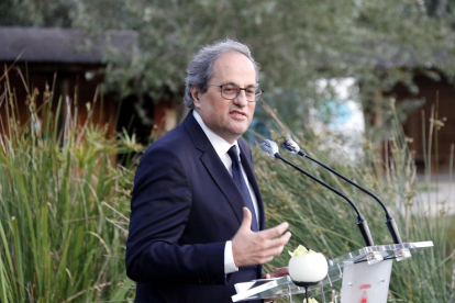 El presidente de la Generalitat, Quim Torra, durante su intervención al acto que se ha hecho en Lérida en memoria de las personas que han muerto durante la pandemia del coronavirus.