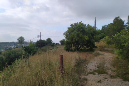 Els terrenys de la finca on s'ubicarà l'aparcament d'autocaravanes, a la Muntanya de l'Oliva.