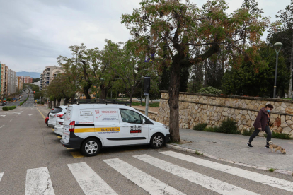 Un parell de vehicles feien càrrega i descàrrega ahir al tram de l'avinguda Catalunya afectat.