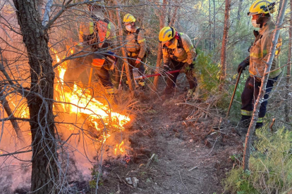 Alguns Bombers treballant en l'extinció de l'incendi forestal de Tivissa.
