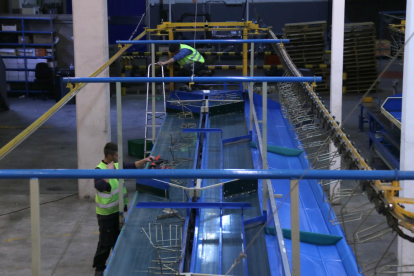 Operaris de Soldebre instal·lant una quarta línia de confecció manual al magatzem de cítrics per garantir un espai de dos metres entre treballadors.