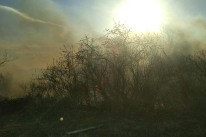 Imagen del incendio de vegetación en Constantí.