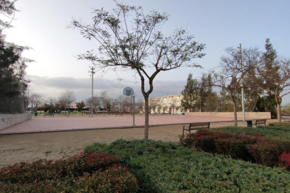 Imatge de la plaça.