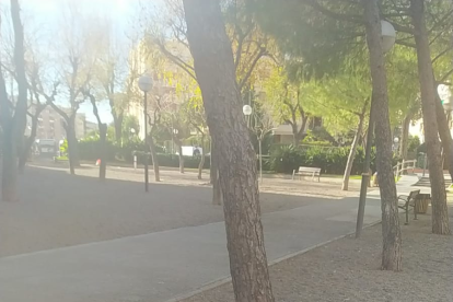 Deixalles apilades al parc Rodríguez de la Fuente, a la Granja.