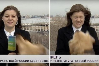 Momento en el que la periodista rusa es 'atacada' por un perro.
