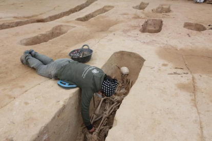 Els arqueòlegs treballant en el desenterrament de cossos a la fossa del Mas de Santa Magdalena de Móra d'Ebre.