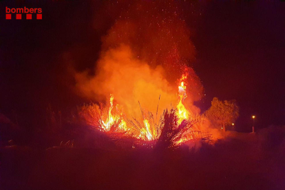 Imatge de les flames de l'incendi de Miravet.