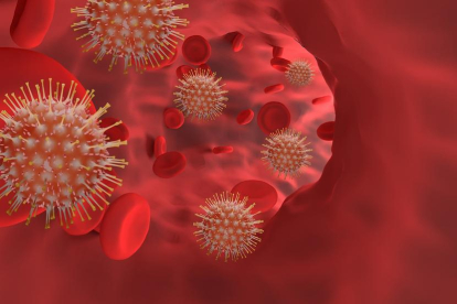 Un antigen del grup sanguini A atrau particularment al coronavirus.