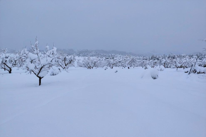Imatge del terme d'Arnes, a la Terra Alta, amb gruixos de neu de 60 cm.
