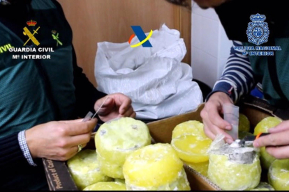 Cae una organización que introducía cocaína oculta al interior de piñas en España