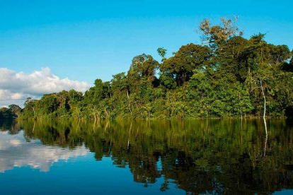 Imagen de archivo del Amazonas en su paso por Perú.