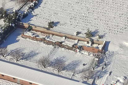 Imagen aérea del techo de la granja hundido en Falset.