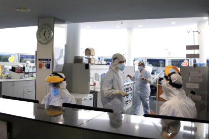 Profesionales sanitarios trabajando en una unidad de UCI del Hospital del Mar con pacientes con covid-19.