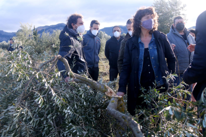 Pla mitjà de la consellera d'Agricultura, Teresa Jordà, al costat d'una olivera jove trencada pel pes de la neu.