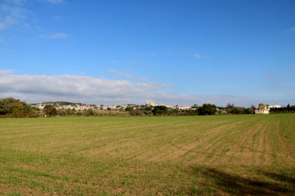 Un sembrado de la Plana del Vinyet, en Tarragona, con la villa de Altafulla al fondo.