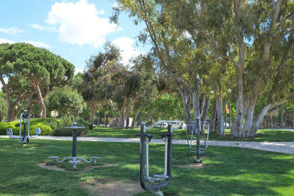 Imagen de un espacio municipal dedicado al ejercicio físico.