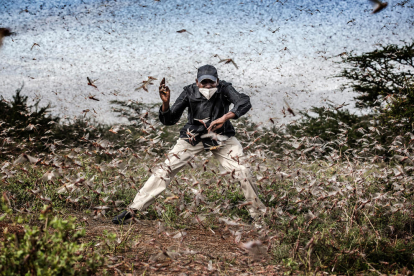 La imatge de Luis Tato d'una plaga de llagostes al desert de Kènia, que opta a millor fotografia de l'any del World Press Photo 2021.