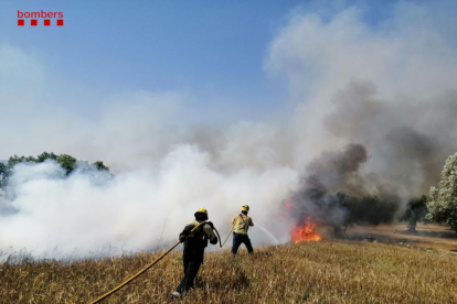 Efectivos de los Bomberos de la Generalitat trabajando en la extinción del incendio agrícola de la Pobla de Massaluca.