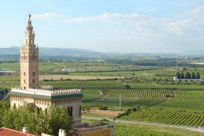 Imatge de la Giralda amb els camps de vinyes al fons.