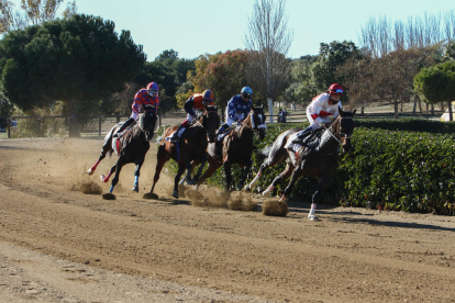 Un dels instants d'una de les tres curses que es van disputar ahir al matí al Parc Torre d'en Dolça.