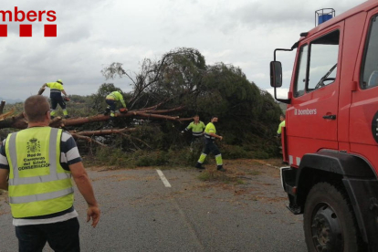 Imagen del árbol caído que ha obligado a cortar la carretera.
