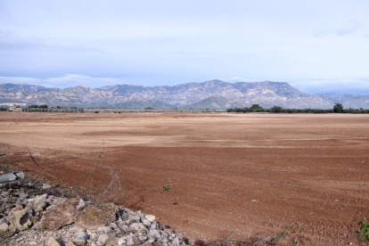 Pla general dels terrenys on es projecta la planta de compostatge al terme municipal de Santa Bàrbara.