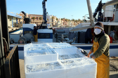 Un mariner davant una pila de caixes de seitó embalades, un cop descarregades al moll, al barri del Serrallo de Tarragona.