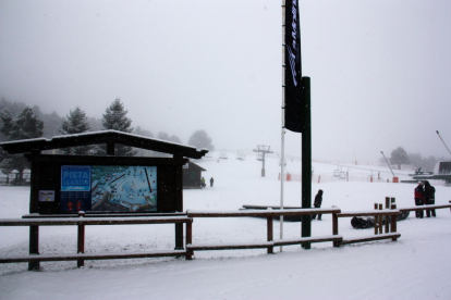 Pla general de la neu que ha caigut a la base de la zona de la pista Llarga de l'estació d'esquí de la Molina (Cerdanya