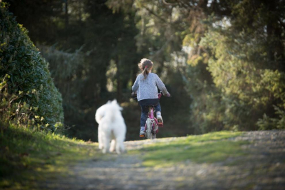 Imagen de una niña con un perro.