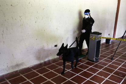 Un perro entrenado con el método Arcón, realizando un ejercicio de demostración de detección de la covid-19.