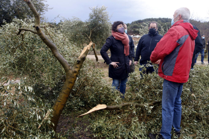 La consellera d'Agricultura, Teresa Jordà, durant una visita a un camp d'oliveres afectat per la nevada del temporal Filomena, a Vinaixa