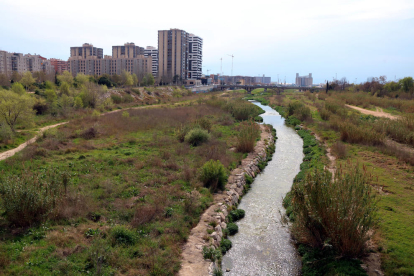 Un tramo del río Francolí a su paso por la ciudad de Tarragona con un muro empedrado y muy poca vegetación de ribera.