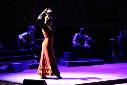 Plano general de una bailaora en la Gran Gala Flamenco.