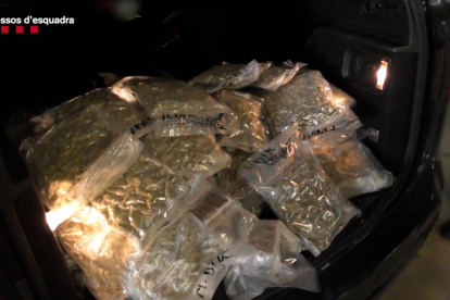 Imatge de les bosses de droga trobades amagades al maleter.