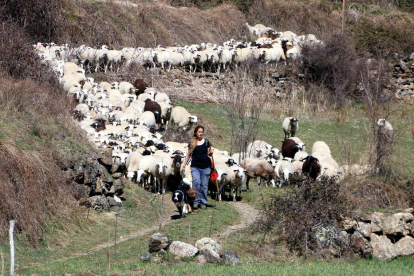 La pastora Anna Plana con su rebaño de ovejas en el Valle de Àssua, en el Pallars Sobirà.