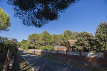 Zona boscosa a tocar de les cases de la urbanització Mas Morató, a Tarragona.