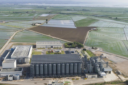 Imatge de la planta de Deltebre rodejada d'arrossars.