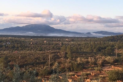 Zona donde se proyecta el nuevo parque eólico 'Vandellós-II' entre Camarles y l'Ametlla de Mar.