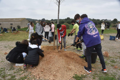 Un grupo de alumnos plantando un árbol.