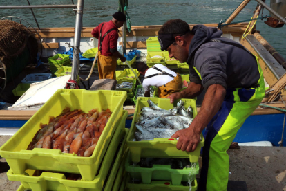 Un mariner descarregant caixes de peix al Serrallo de Tarragona.