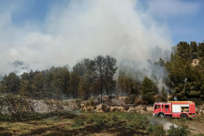 Imatge d'un dels flancs de l'incendi de vegetació am Iravet