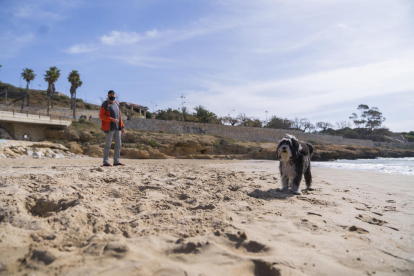 Imatge de la zona de la platja del Miracle on estarà permesa l'entrada de gossos durant l'estiu.