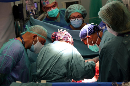 Professionals de Vall d'Hebron realitzant el trasplantament de pulmons.