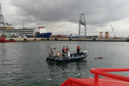 La embarcación de la Cruz encarnada durante el rescate del ternero del agua.
